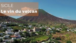 Sicile, le vin du volcan