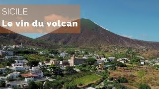 Documentaire Sicile, le vin du volcan