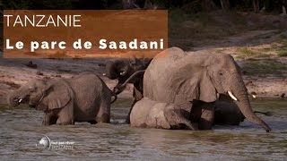 Documentaire Tanzanie – les animaux du parc Saadani