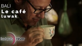 Documentaire Bali – à la recherche du café civette