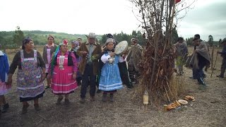 Documentaire Chili : la langue, miroir de l’âme