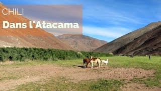 Documentaire Chili – Dans l’Atacama