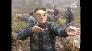 Histoires de sangliers