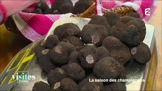 Documentaire La truffe