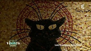 Le chat noir