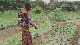 Au Congo : les semences de la paix