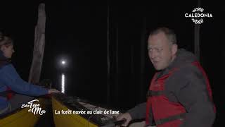 Entre terre et mer - La forêt noyée au clair de lune