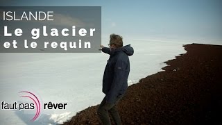 Islande, de glace et de feu – le glacier et le requin
