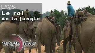 Laos - le roi de la jungle