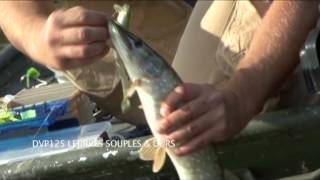 Le brochet de A à Z