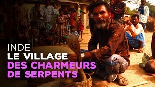 Documentaire Le métier de charmeur de serpents