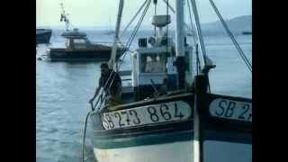 Pêche du congre sur siège de combat