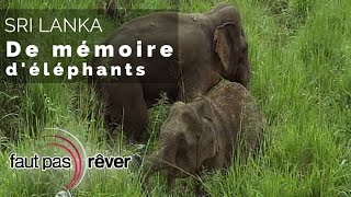 Documentaire Sri Lanka – de mémoire d’éléphants