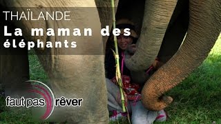 Documentaire Thaïlande, la route des rois – pour l’amour des éléphants