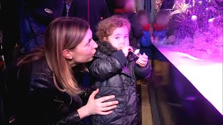 Noël, les vitrines à la fête