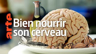 Documentaire Comment notre alimentation influence notre santé mentale