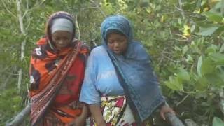 Les femmes de Wasini