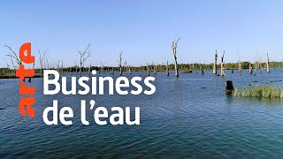 Main basse sur l'eau : la bataille de l'or bleu