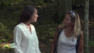 Le bois une ressource, un patrimoine