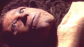 La Malédiction du Pharaon