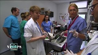 Documentaire Dans l’intimité de l’école vétérinaire de Maisons-Alfort