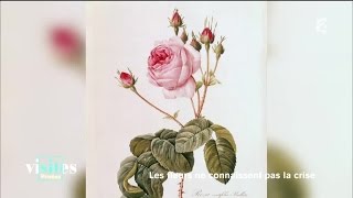 Pierre-Joseph Redouté, les fleurs au bout du pinceau
