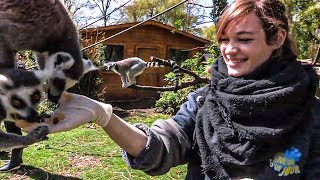 Documentaire Zoo de Beauval : les nouveaux paris du plus grand zoo de France