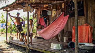 Documentaire Amazonie, la vie au bout des doigts
