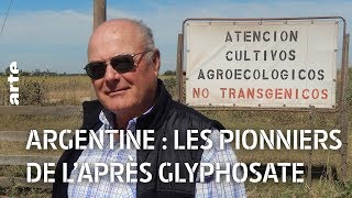 Argentine : les pionniers de l'après-glyphosate