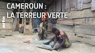 Cameroun : la terreur verte