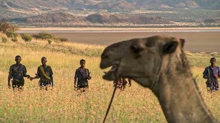 Documentaire Dans la bouche du diable