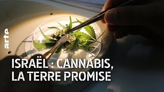 Documentaire Israël : cannabis, la terre promise