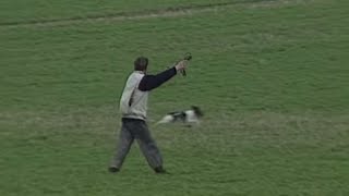 Juge de Fields-Trials