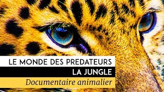 Documentaire Le monde des prédateurs – La Jungle