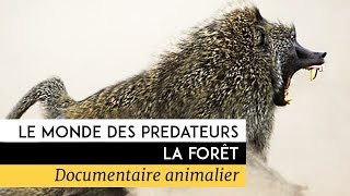 Documentaire Le monde des prédateurs – La fôret