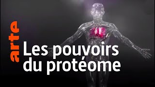 Les secrets du corps humain