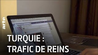 Documentaire Turquie : trafic de reins