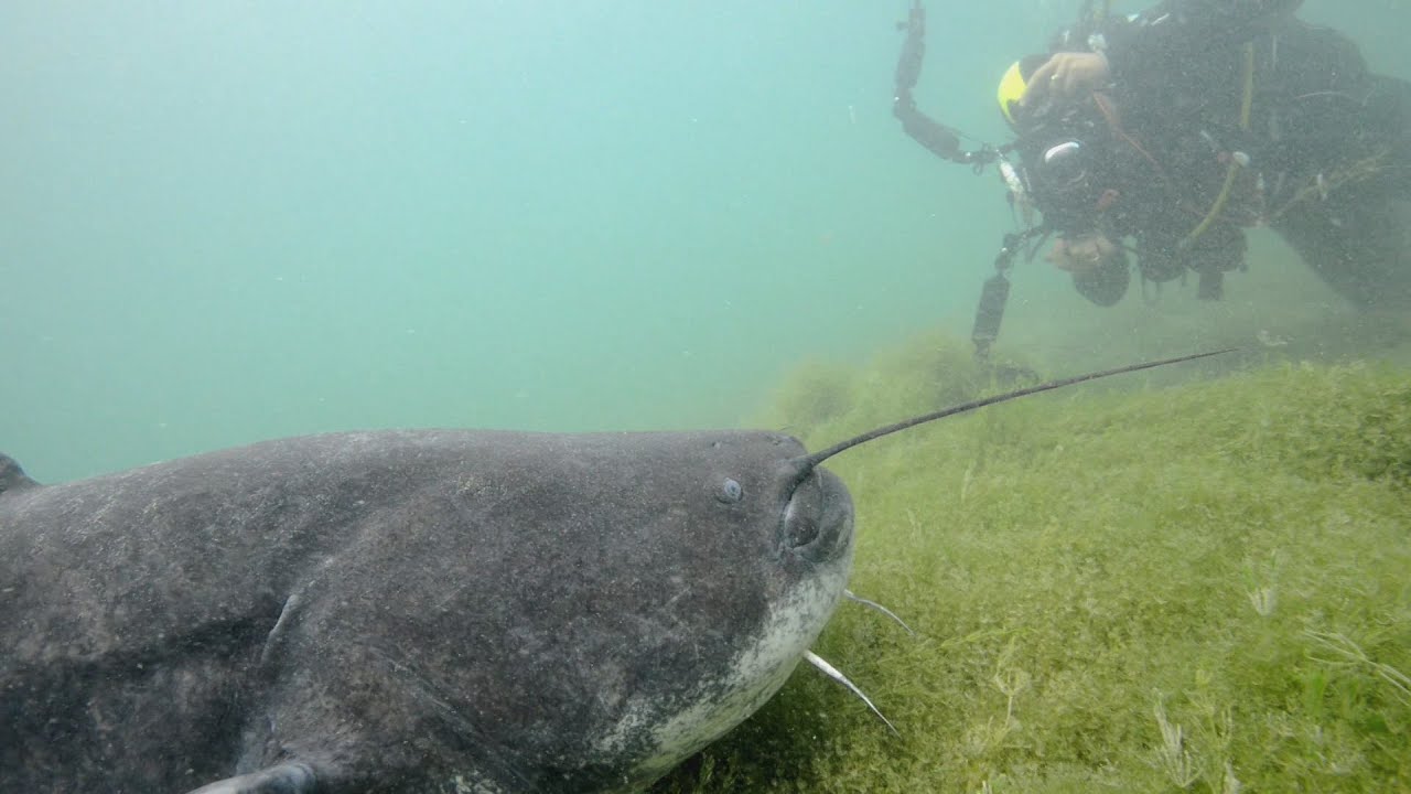 Voyage dans les profondeurs des lacs