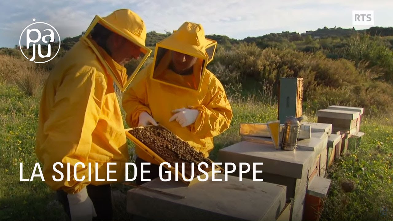 Documentaire Amoureux de sa terre natale et passionné d’apiculture, Giuseppe est retourné vivre au pays