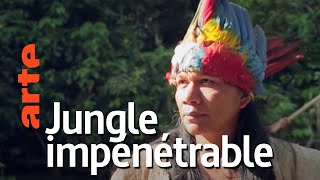 Amérique du sud, sur la route des extrêmes | Episode 1 : La jungle