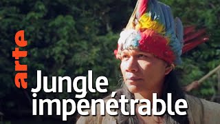 Documentaire Amérique du sud, sur la route des extrêmes | Episode 1 : La jungle