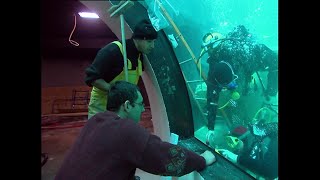 Documentaire Aquarium du Trocadéro, les coulisses de l’exploit