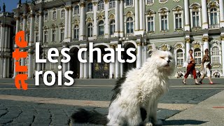 Documentaire Des chats au pays des tsars