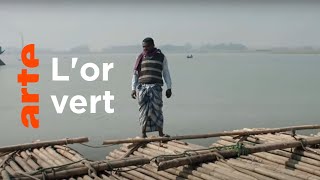Documentaire Bangladesh, l’épopée des radeaux de bambou (2/2)
