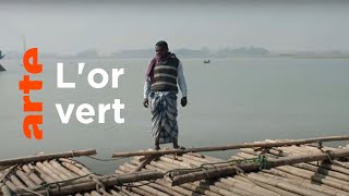 Bangladesh, l'épopée des radeaux de bambou (2/2)