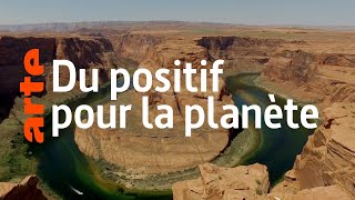 Bonnes nouvelles de la planète