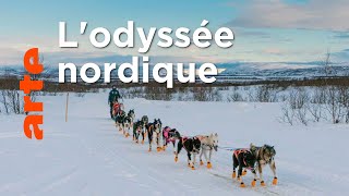 Des mushers et des chiens à travers la Norvège