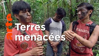 Les Indiens contre les rois du pétrole