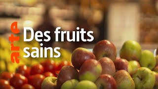 Quand la nature protège l’agriculture
