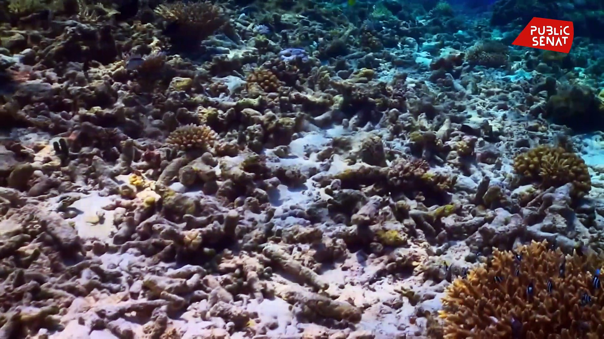 La terre vue du coeur